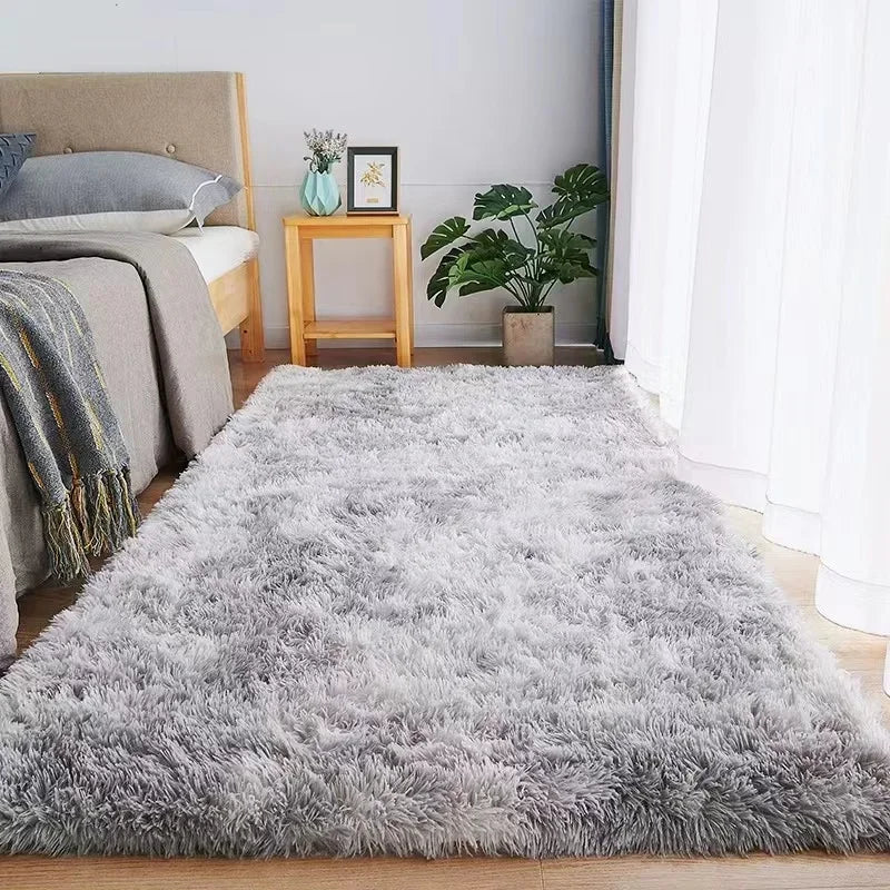 Rug for bedroom and living room